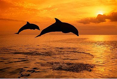 《最终幻想7：重生》Steam版在线人数已经突破4万人